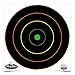 BW Casey Dirty Bird MultiColor 10-12" Bull's-eye Trgts-10 Pk