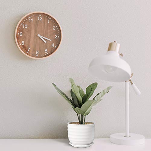 Flexzion Succulent Plants Pots, Flower Planters - Modern Ribbed Ceramic Round Container Set Of 3, 3/5/7 Inch White For Cactus African Violet Foliage Mint Basil Herb Windowsill Garden Indoor Outdoor #TOP7