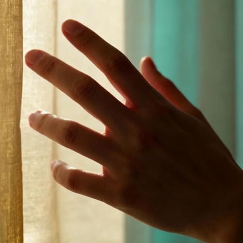 C&acirc;nd impulsul preia controlul: mecanismele adicției Titelbild