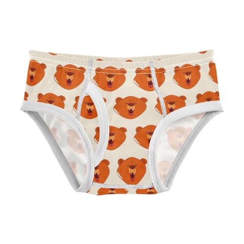 Cute Bear Toddler Boy's Underwear 2T 2302225