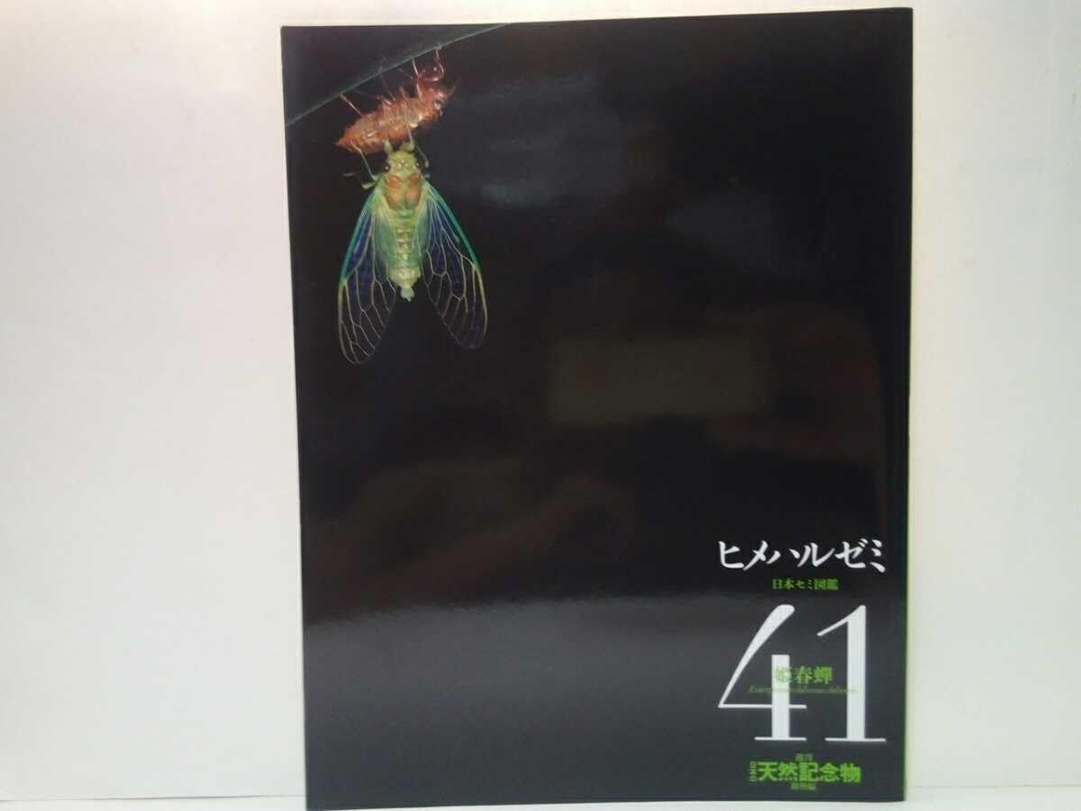 Amazon.co.jp: 絶版週刊日本の天然記念物41 ヒメハルゼミ姫春 本州中央