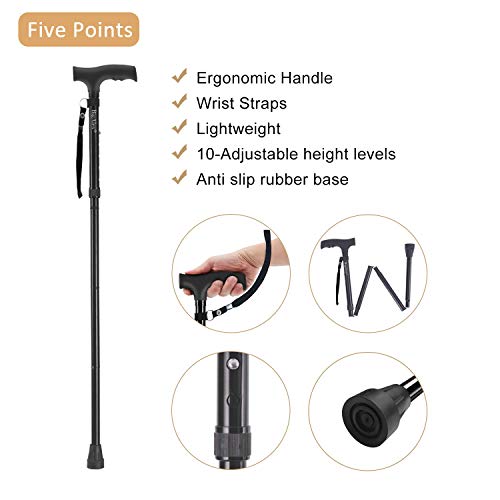 https://m.media-amazon.com/images/I/41LOErC71IL._SL500_.jpg