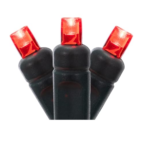Vickerman X6G6103 100 Light Wide Angle LED Light Set Red Lights on Green Wire