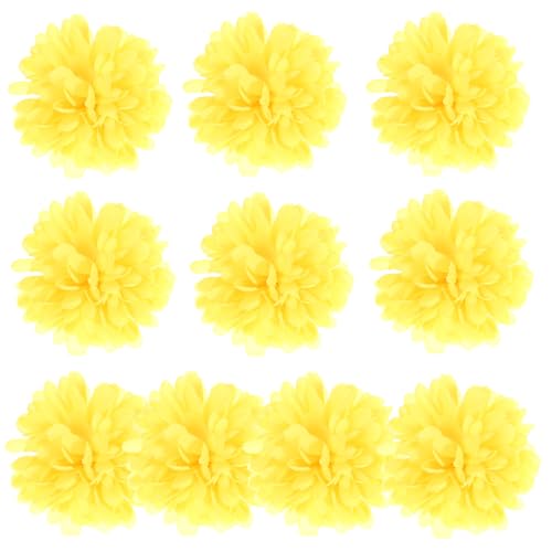 NUOLUX }[S[h   10 lH}[S[h tFCNe  Ղp I[ig VNz  Ԃ̑ t[AWgp ʐ^  z[fR[V F