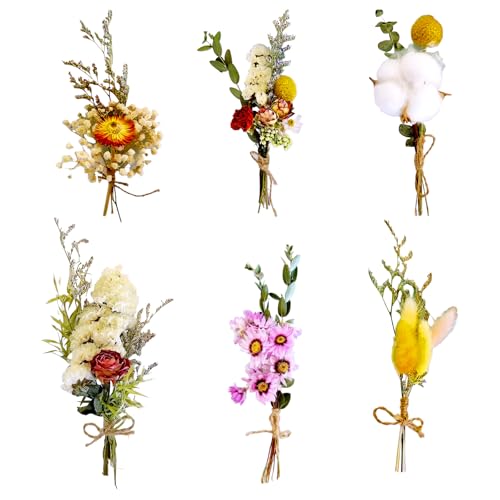 RTRTGS 6 pezzi Fiori Essiccati Decorativi - Piccolo Bouquet Di Fiori Secchi - Mini Bouquet Secchi - Adatto Per Vasi, Artigianato, Corsage, Matrimoni, Decorazione Di Oggetti Fotografici Fai Da Te