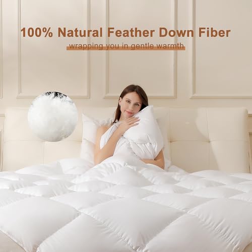 Feather Down Fiber Comforter Queen Size, Ultra Soft 100% Cotton Duvet Insert, Luxurious Hotel Collection White Bedding Comforters, All Season Medium Warmth 90 x 90 Inch.