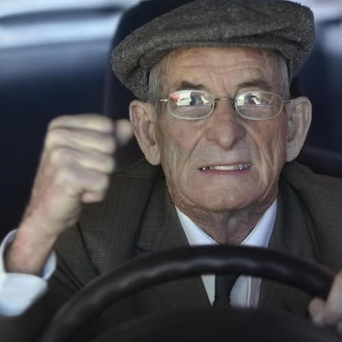 Section 10: Financial Responsibility, Insurance Requirements, and Collisions