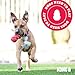 KONG Tug Toy - Dog Supplies for Tug of War - Natural Rubber Dog Toy for Outdoor & Indoor Playtime - for Medium/Large Dogs