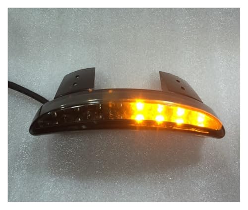 Intermitentes de moto con luz trasera integrada picada de alta visibilidad 2