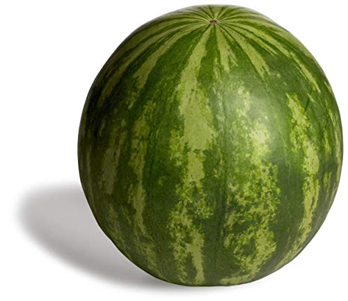 Seedless Watermelon