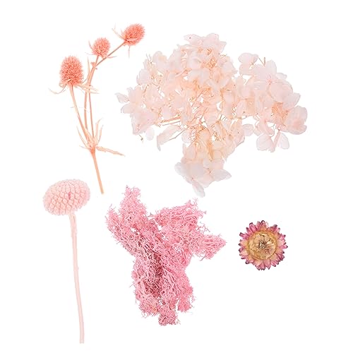 Flores Secas Mini Naturales 50 Piezas para Manualidades miniatura 1
