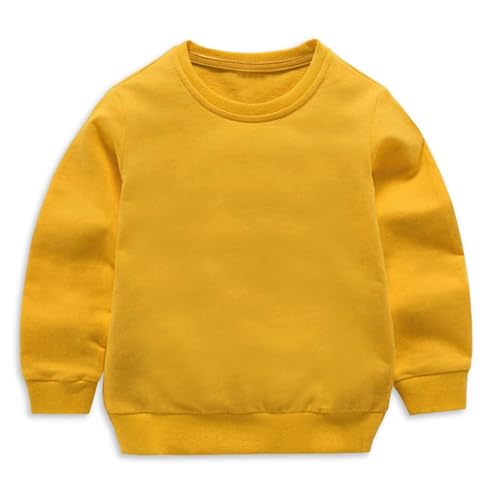 Girls Boys Sweatshirts Kids Youth Hoodies Casual Long Sleeve Cute Tops Pullover 2025 Fashion Athletic Preppy Clothes2