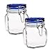 Bormioli Rocco Fido Square Jar with Blue Lid, 0.75 Liter (Pack of 2)