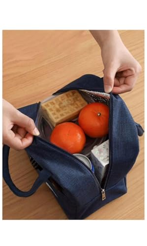 Image of EUFLORIA Insulated Travel Lunch /Tiffin /Storage Bag for Women and Men Office, Collage and School (Multicolor P2A2)