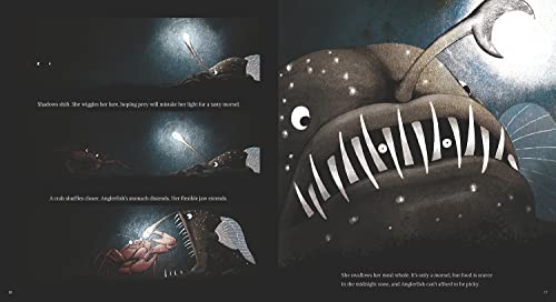 Anglerfish: The Seadevil of the Deep - Image 3