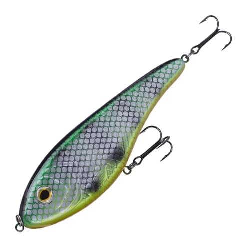 Occhi esca: occhi bionici 3D ACTINPANT 1 Esca Artificiale affondante da Pesca Big Game Pred Ator da 15 cm e 81 g(RH1601-02)