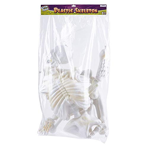 Rhode Island Novelty 5 Foot Glow in The Dark Plastic Skeleton Buy