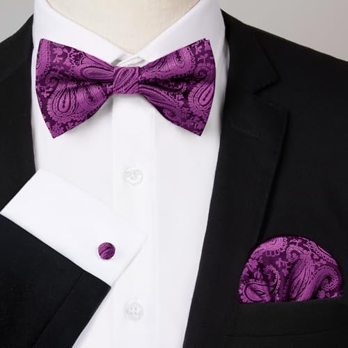 Image of HISDERN Bow Ties for Men Pretied Bow Tie Set Paisley Classic Bowties and Pocket Square Cufflinks Set for Wedding Party