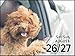 Puppies 2023 Mini Day-to-Day Calendar
