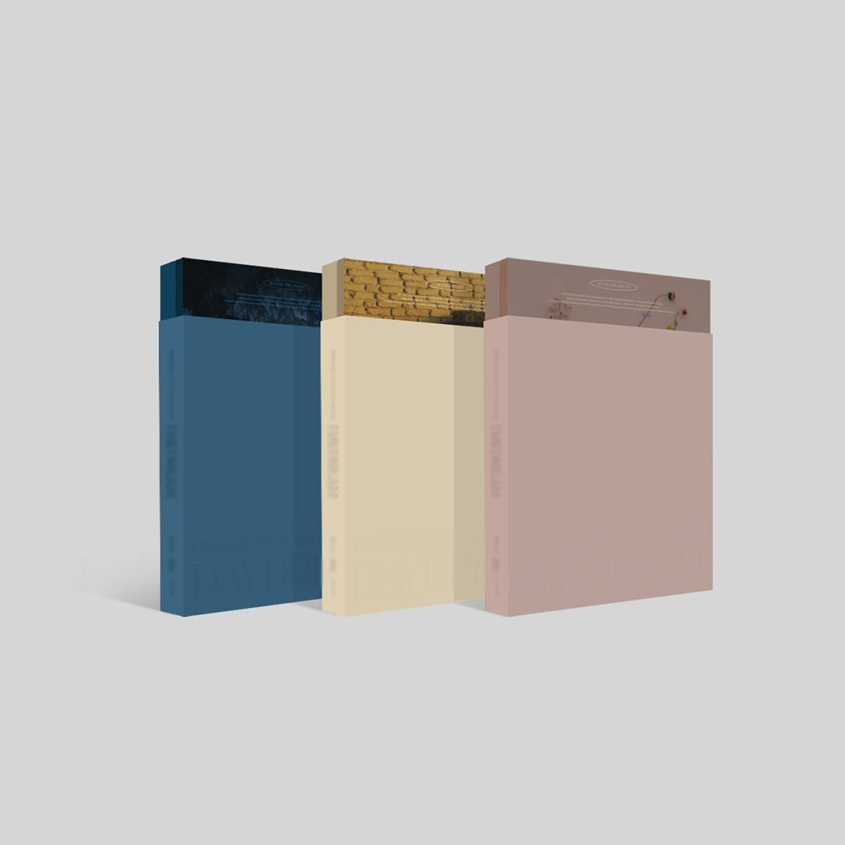 1er album complet Daydream In The Dream ver pour sublimer votre collection musicale