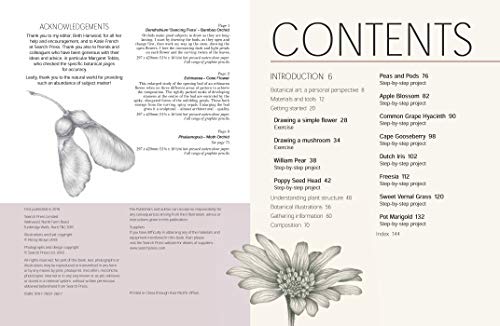 Botanical Drawing: A Step-By-Step Guide to Drawing Flowers, Vegetables, Fruit and Other Plant Life