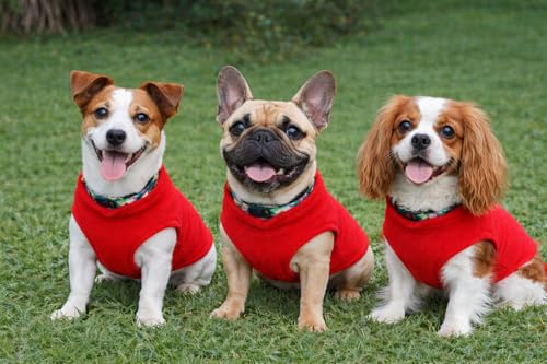 Image of JACKO & CO - Fleece Vest Dog Sweater with Leash Ring - Soft, Warm & Lightweight Pullover Coat for Small & Medium Dogs, Puppies & Cats - Cozy Fall /Winter /Spring Pet Jacket (Red, XX-Large 25-35lbs)