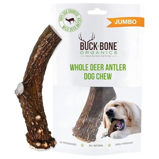 Buck Bone Organics Dog Chews, Deer Antlers for Dogs, Long Lasting Dog Bones for Aggressive Chewers, All Natural, No Preservatives, Wild Shed in the USA Large