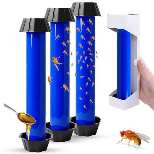 EXTERMION Fruchtfliegen Falle & Trauermücken Falle – 3er Set Blaue Klebefallen mit Köderschale, ohnâ€¦ – Miniatur