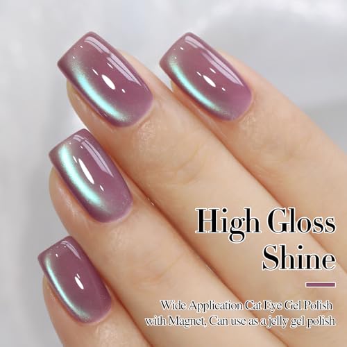 Double Rhythm 15ML Ice Glass Cat Eye Gel Polish with Magnet Holographic Glitter Shimmer Translucent Sheer Color Salon Soak Off Magnetic Nail at Home (Plum Purple-MC1130)