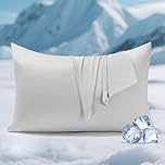 Elegear 2-Pack Cooling Pillow Cases for Hot Sleeper, Clean Silver Infused Arc-Chill 3.0, Q-Max>0.5 Soft Silky Cooling Pillow Cover for Hair & Skin, Summer Zipper Pillowcases, Standard (20''x30''),Gray