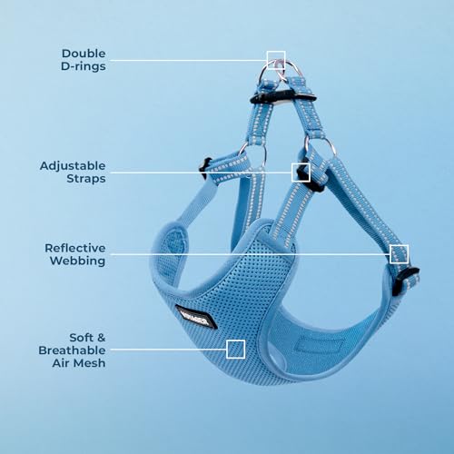 Image of Best Pet Supplies Voyager Adjustable Step-In Flex Breathable Mesh Dog Harness for Small Medium Large Dogs (Baby Blue), XL