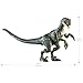 Mattel Jurassic World Hammond Collection Dinosaur Action Figure, Velociraptor 'Blue' Dino Toy with Articulation