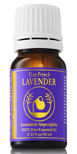 Organic Pure True French Lavender Essential Oil from Lavandula Angustifolia