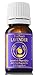 Organic Pure True French Lavender Essential Oil from Lavandula Angustifolia