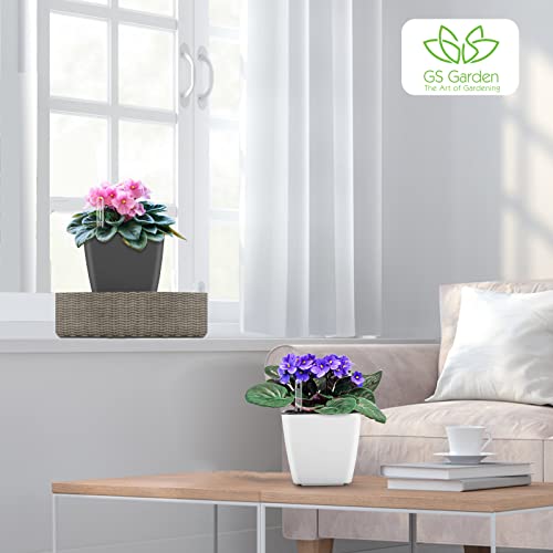 Self Watering Planters For Indoor Plants : 5 Inch 6 Pack White Planter With Water Level Indicator African Violet Self Watering Flower Pot For Herb Pots House Plant Planting Plastic Modern Decor Pots #TOP4