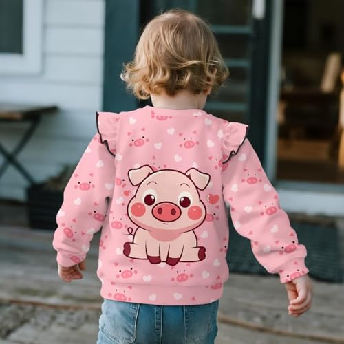 Girls Round Neck Long Sleeve Sweatshirt Breathable Cute Hoodless Pullover Everyday Casual Top for Kids Age 1-8 Years4