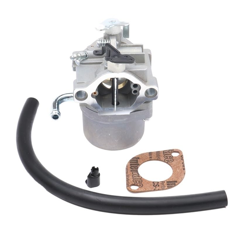 Amazon.com: Carburetor Carb 796077 For Briggs & Stratton 590399 