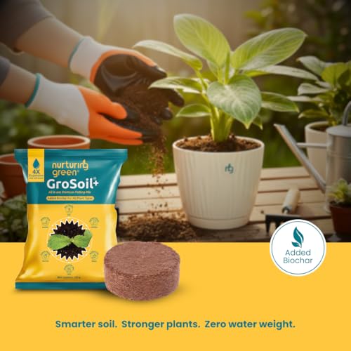 Image of Nurturing Green GroSoil+ Potting Soil Mix with Biochar, Makes 500gm Soil