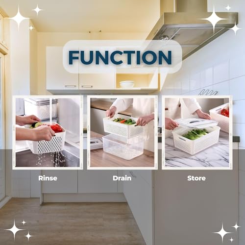 Image of The Better Home (Pack of 4 Food Containers | Storage Box for Fridge | Vegetable Fruit Boxes | Refrigerator Storage Box | Containers With Lid | Handheld Strainer Basket| Transparent