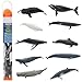 Safari Ltd. TOOB - Whales - Realistic Hand Painted Toy Figurine Models - Quality Construction from Phthalate, Lead and BPA Free Materials - for Ages 3 and Up
