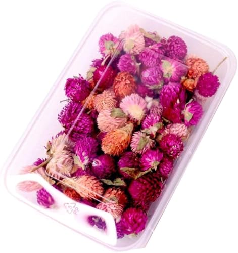 1 caja de flores secas para decoración y manualidades miniatura 5