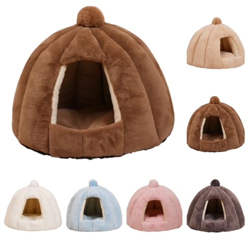 LightRise�L�n�E�X�~�p�L�p�x�b�h�h�[���^ �x�b�h�������������p�h�b�O�n�E�X �p�Q�ܕۉ��h������ �_�炩���􂦊���~�ߏ��^���L���b�g�����p �x�e���Q���N�b�V�����t���[������̊ۂ����p�x�b�h�����^�L�p�x�b�h���^���^���p�̏H�~�p�y�b�g�x�b�h (�L����