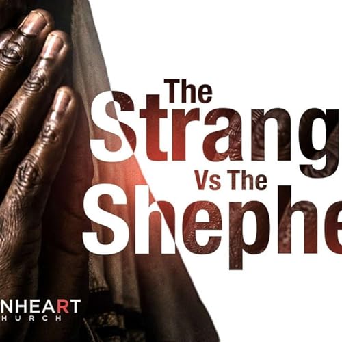 35. The Stranger Vs. The Shepherd