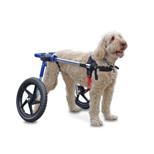 Walkin' Wheels Dog Wheelchair - for Med/Large Dogs 50-69 lbs - Veterinarian Approved - Dog...