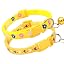 2-Pack Yellow