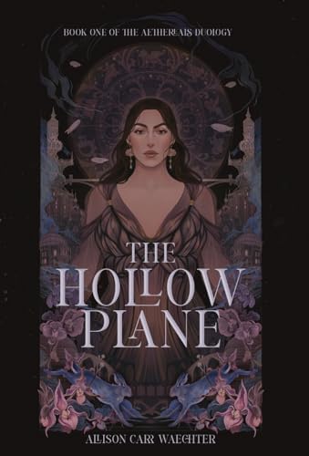 The Hollow Plane view 2