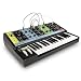 Moog Grandmother Semi-Modular Analog Keyboard Synthesizer