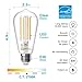 TJOY 36 Pack Vintage 8W ST58 LED Edison Light Bulbs, Dimmable, 60W Equivalent, 800Lumens, 2700K Warm White, E26 Base LED Filament Bulb, CRI80+, Antique Glass Style for Home, Bedroom, Office, Farmhouse