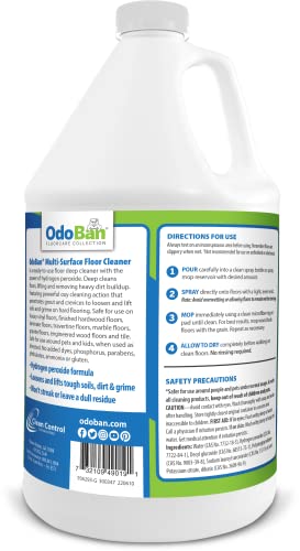Odoban 936293-G4 Ready-To-Use Multi-Surface Floor Cleaner thumb #1