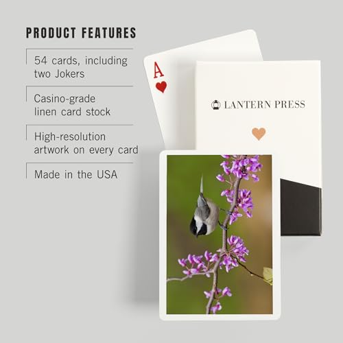 Baraja Póker Black-Capped Chickadee, 52 Cartas miniatura 3